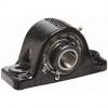 timken QAAPL13A207S Solid Block/Spherical Roller Bearing Housed Units-Double Concentric Two-Bolt Pillow Block